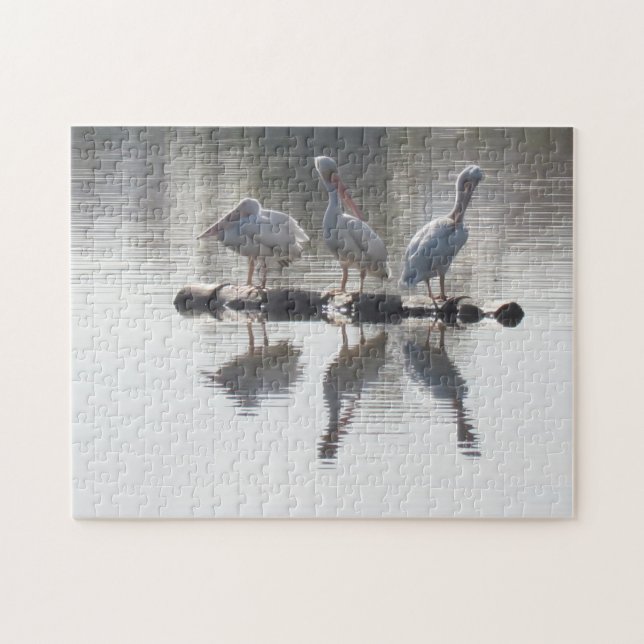 Puzzle - Pelicans and Reflections (Horizontal)