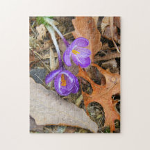 puzzle - Purple Crocuses