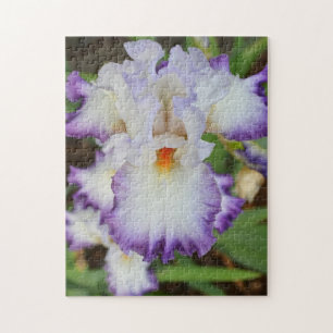puzzle - Purple Edged White Orchid