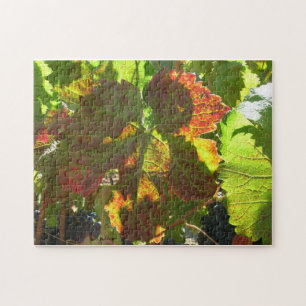 Puzzle - Red grape leaf on vine