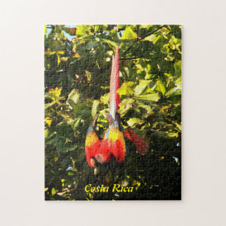 Puzzle Scarlet Macaw