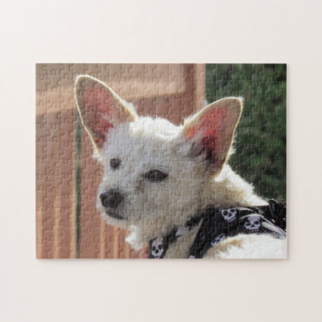 Puzzle - Small White Dog (Horizontal)