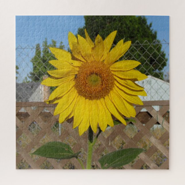 Puzzle - Sunflower against Fence (Vertical)
