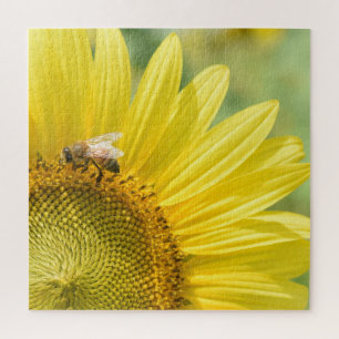 Puzzle; sunflower puzzle