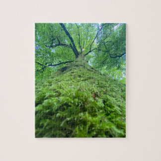 Puzzle Tree Moss