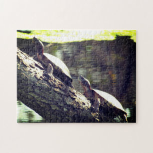 Puzzle - Turtles on a Log