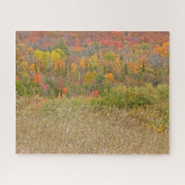 PUZZLE/"VIBRANT COUNTRYSIDE IN FALL" JIGSAW PUZZLE (Horizontal)