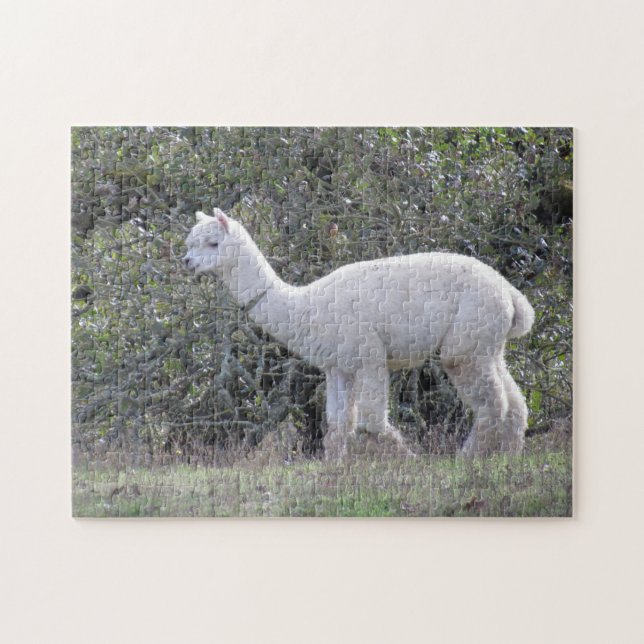 Puzzle - White Alpaca (Horizontal)