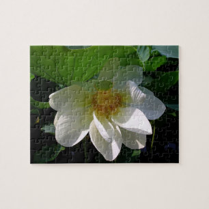 Puzzle with delicate white Lotus Flower