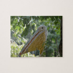 Puzzle with funny pelican
