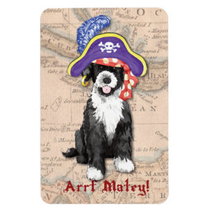 PWD Pirate Magnet