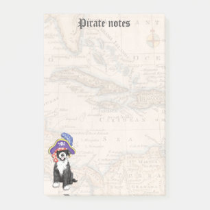 PWD Pirate Post-it Notes