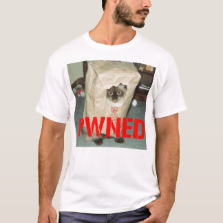 pwnage, the gamers motto T-Shirt