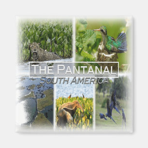 PY0010 America, Paraguay, Pantanal, fridge Magnet