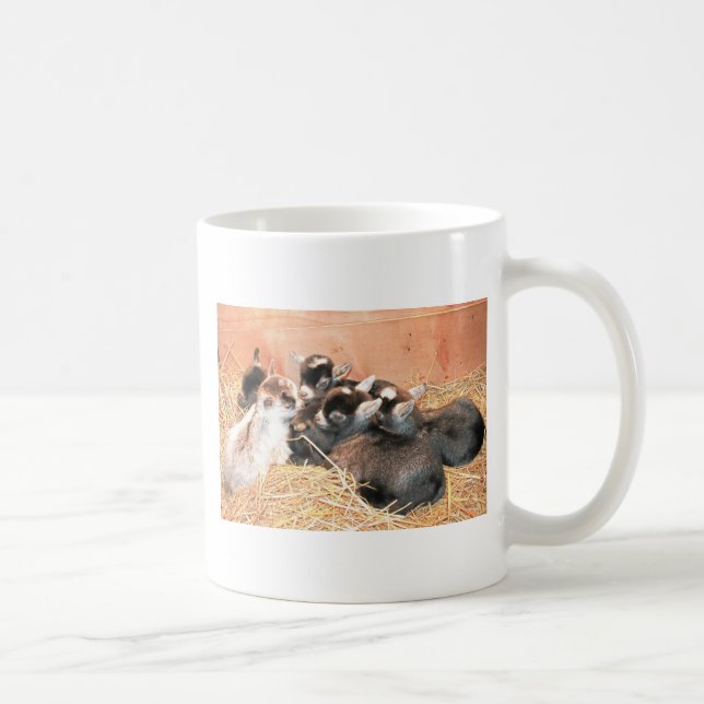 Pygmy goat coffee mug (Right)