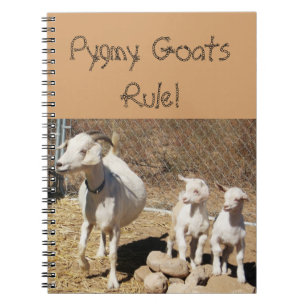 Pygmy Goat Family Spiral Notebook