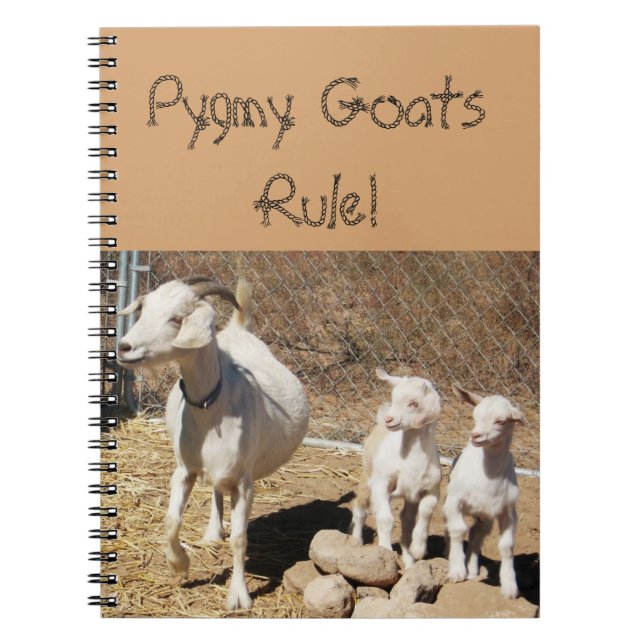 Pygmy Goat Family Spiral Notebook (Front)