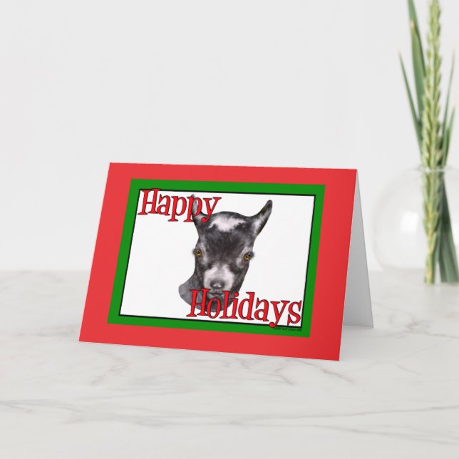 Pygmy Goat Holiday Christmas (Front)