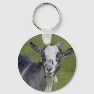 Pygmy Goat Keyring
