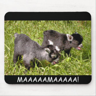 Pygmy goat kids. MAAAAAMAAAAA! mouse pad