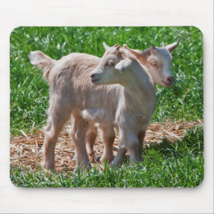 Pygmy Goat Kids Mousemat