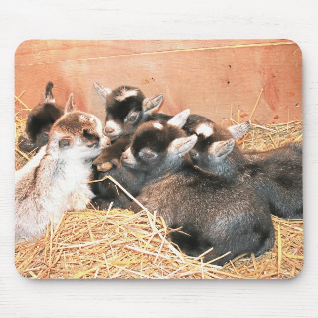 Pygmy Goat Mouse Pad (Front)