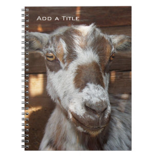 Pygmy Goat Notebook