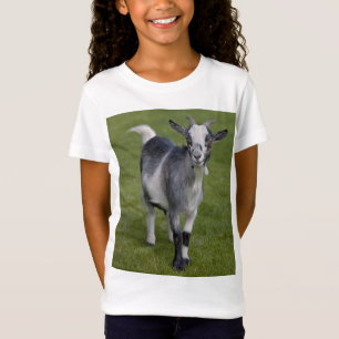 Pygmy Goat Tee