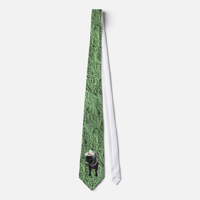 Pygmy Goat Tie (Front)