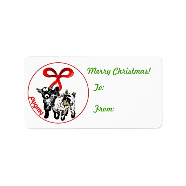 Pygmy Kids  Goat Christmas  Gift Tag Sticker (Front)