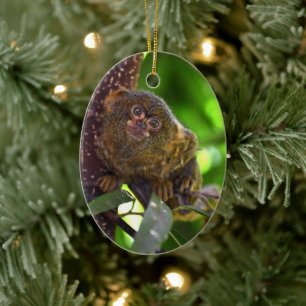Pygmy Marmoset Magic Ceramic Tree Decoration