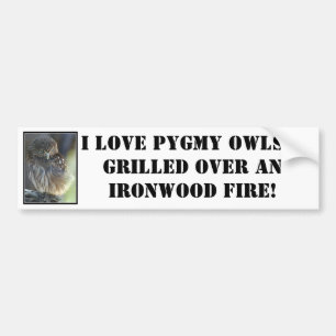 pygmy-owl, I love Pygmy Owls...grilled over an ... Bumper Sticker