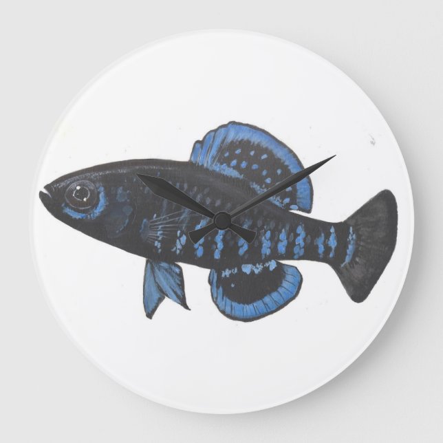 Pygmy Sunfish Elassoma gilberti Wall Clock (Front)