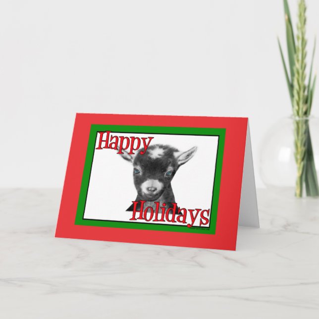 Pygora Goat Holiday Christmas Card (Front)