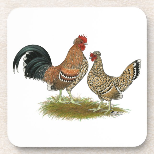 Pyncheon Bantams Coaster (Front)