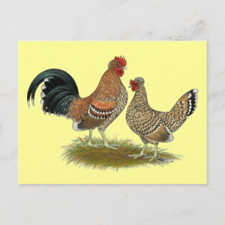 Pyncheon Bantams Postcard