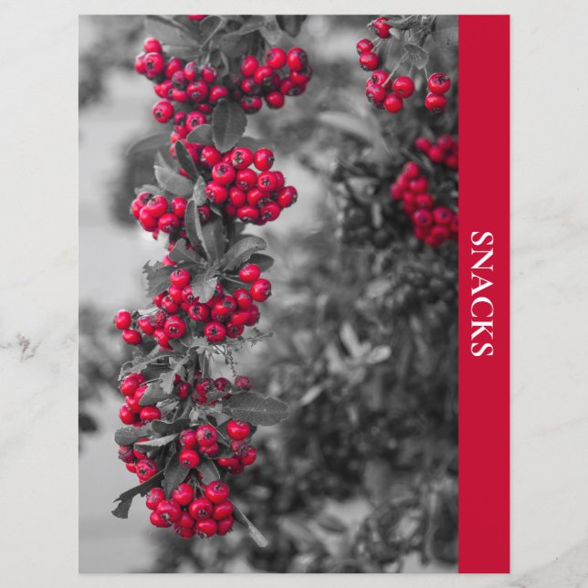 Pyracantha Berry Snacks Recipe Divider (Front)