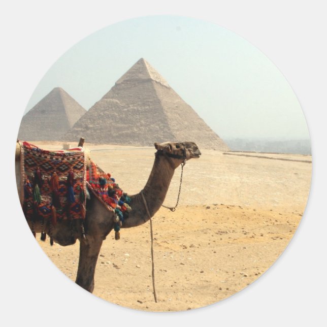 pyramid camel classic round sticker (Front)