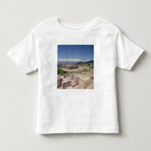 Pyramid of the Feathered Serpent Toddler T-Shirt