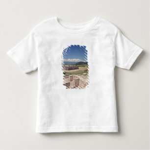 Pyramid of the Feathered Serpent Toddler T-Shirt