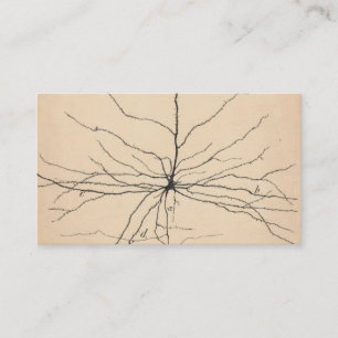 Pyramida Neuron Drawing By Santiago Ramón Y Cajal Business Card