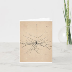 Pyramida Neuron Drawing By Santiago Ramón Y Cajal Card