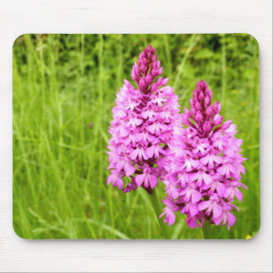 Pyramidal Orchid Mouse Mat
