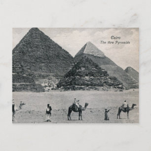 Pyramids and Camels, Cairo Egypt Vintage Postcard