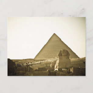 Pyramids at Giza in Cairo, Egypt Postcard