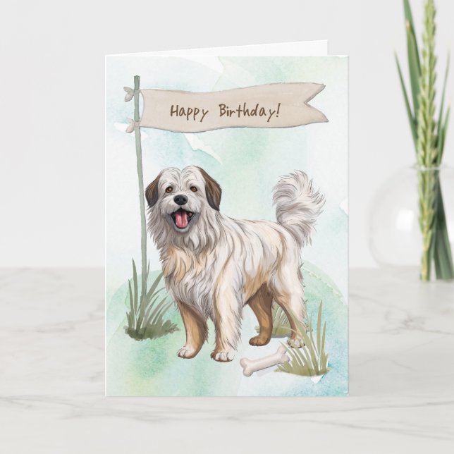 Pyrenean Shepherd Dog Breed Under Birthday Sign Card (Front)