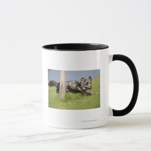 Pyrenean Shepherd goes round the pole Mug
