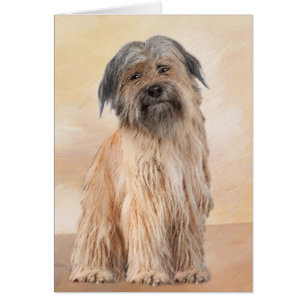 Pyrenean Shepherd Painting - Cute Original Dog Art