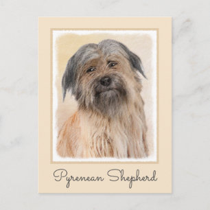 Pyrenean Shepherd Painting - Cute Original Dog Art Postcard
