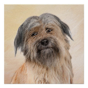 Pyrenean Shepherd Painting - Cute Original Dog Art Poster